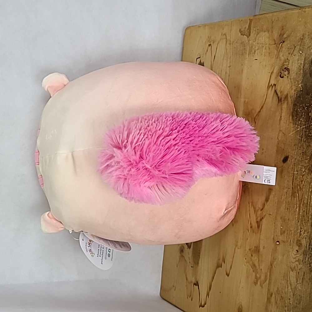 "Lane" the peach squirrel V-Day 2023 Squishmallows NWT 11" - Picture 5 of 5